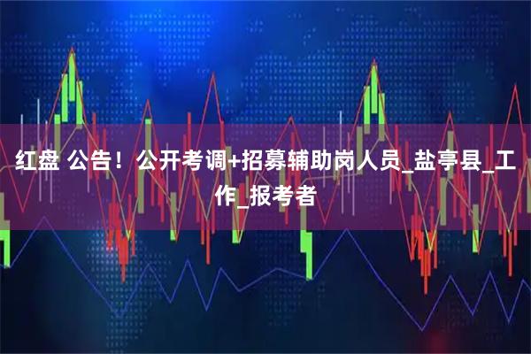 红盘 公告!公开考调+招募辅助岗人员_盐亭县_工作_报考者