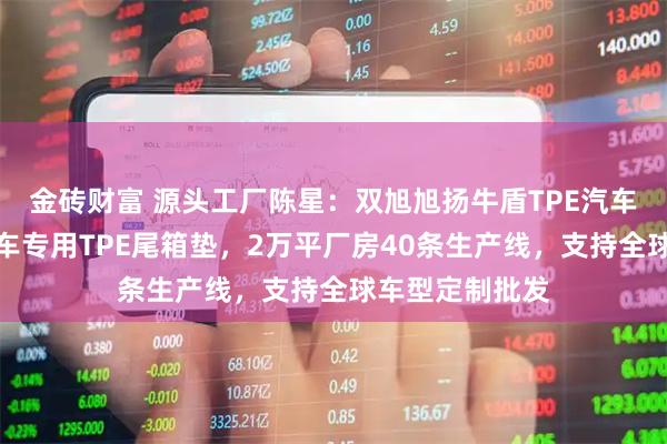 金砖财富 源头工厂陈星：双旭旭扬牛盾TPE汽车脚垫，包头专车专用TPE尾箱垫，2万平厂房40条生产线，支持全球车型定制批发