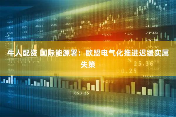 牛人配资 国际能源署：欧盟电气化推进迟缓实属失策