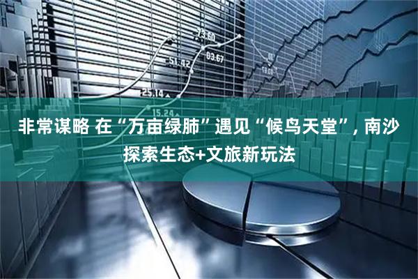 非常谋略 在“万亩绿肺”遇见“候鸟天堂”, 南沙探索生态+文旅新玩法